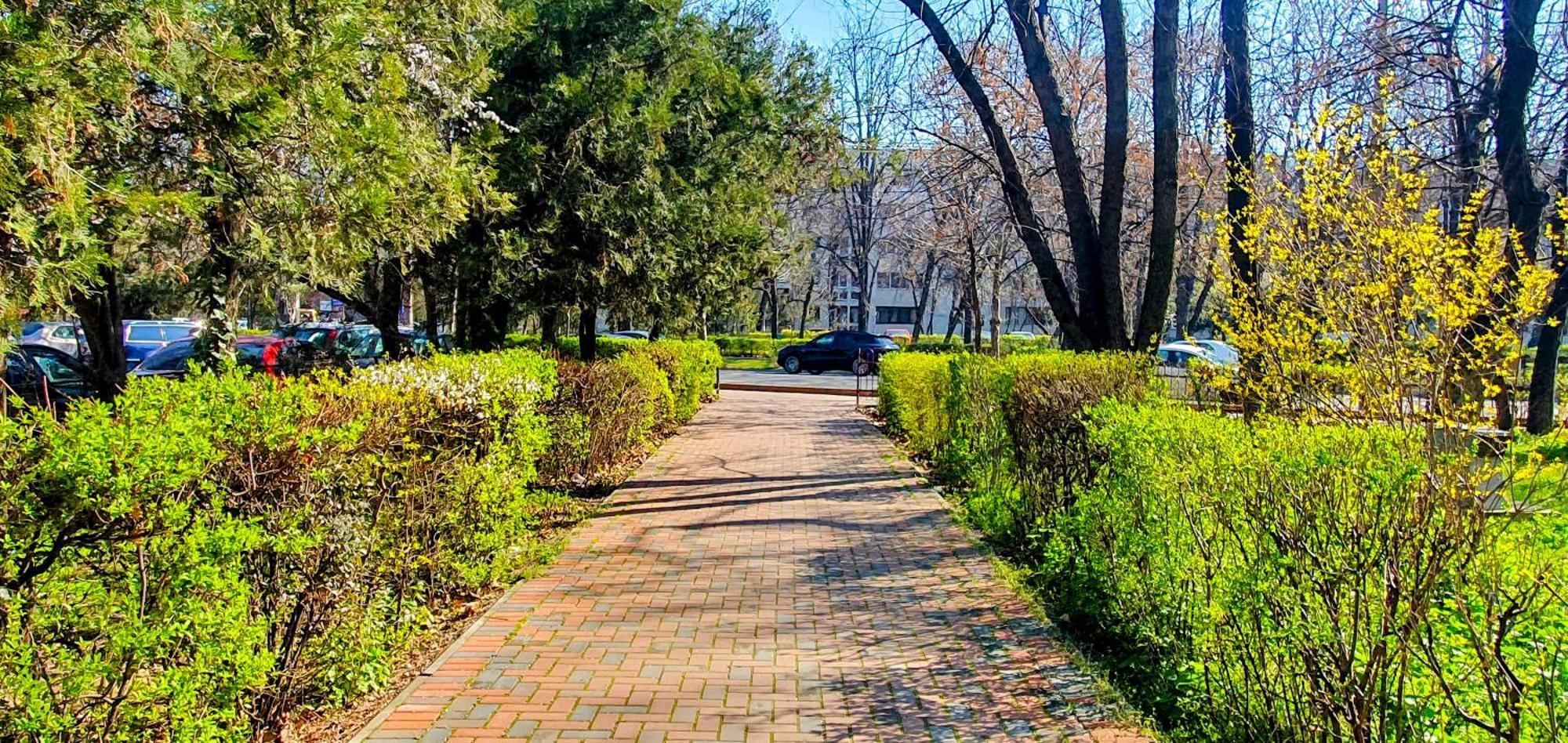 City Break Park Studio بوخارست المظهر الخارجي الصورة